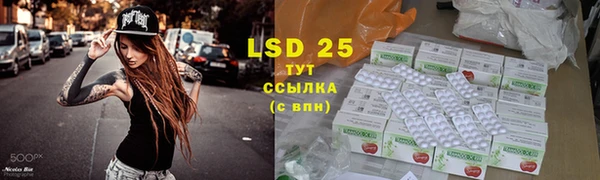 СК Покров