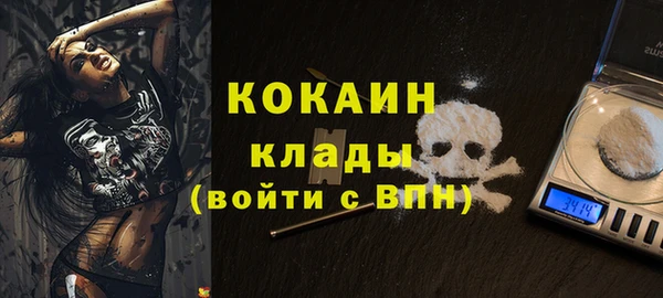 СК Покров