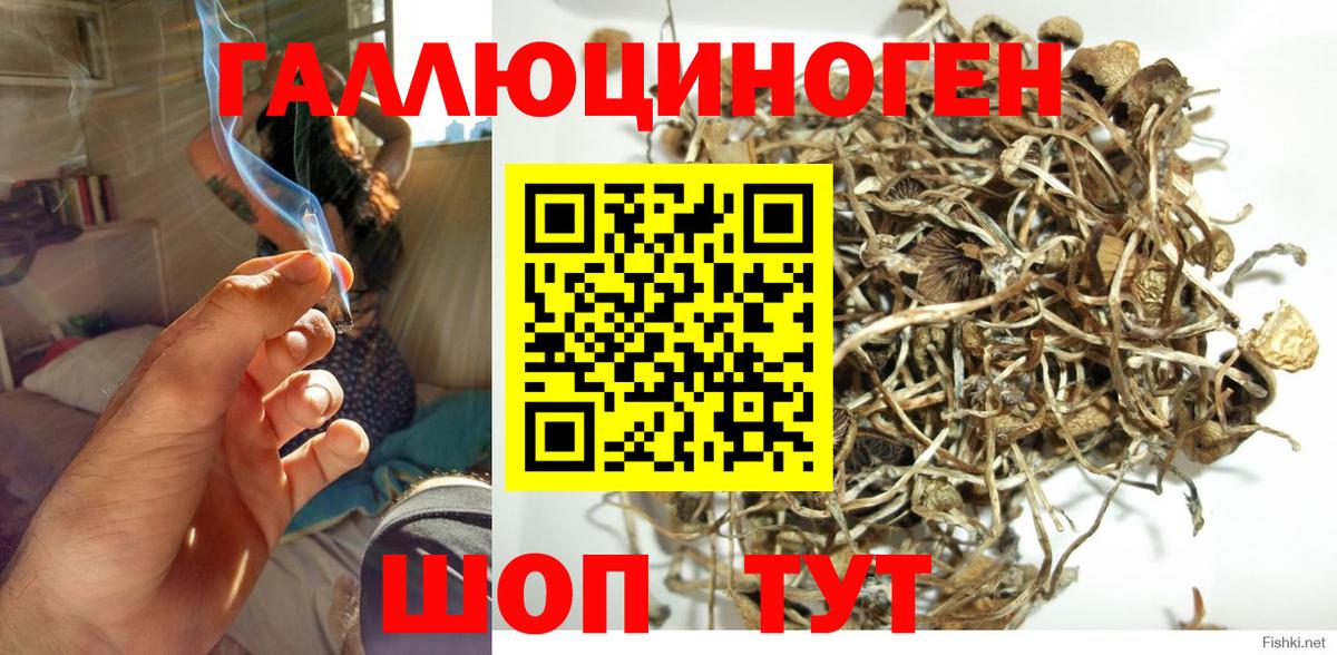 Псилоцибиновые грибы GOLDEN TEACHER Балахна