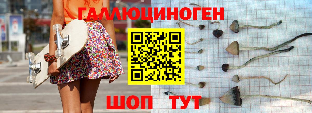 Балахна  Галлюциногенные грибы Magic Shrooms  Вход с VPN 